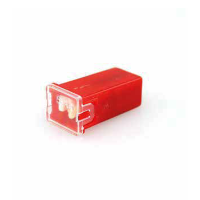 FUSIBLE 10UNID PAL 27 30A