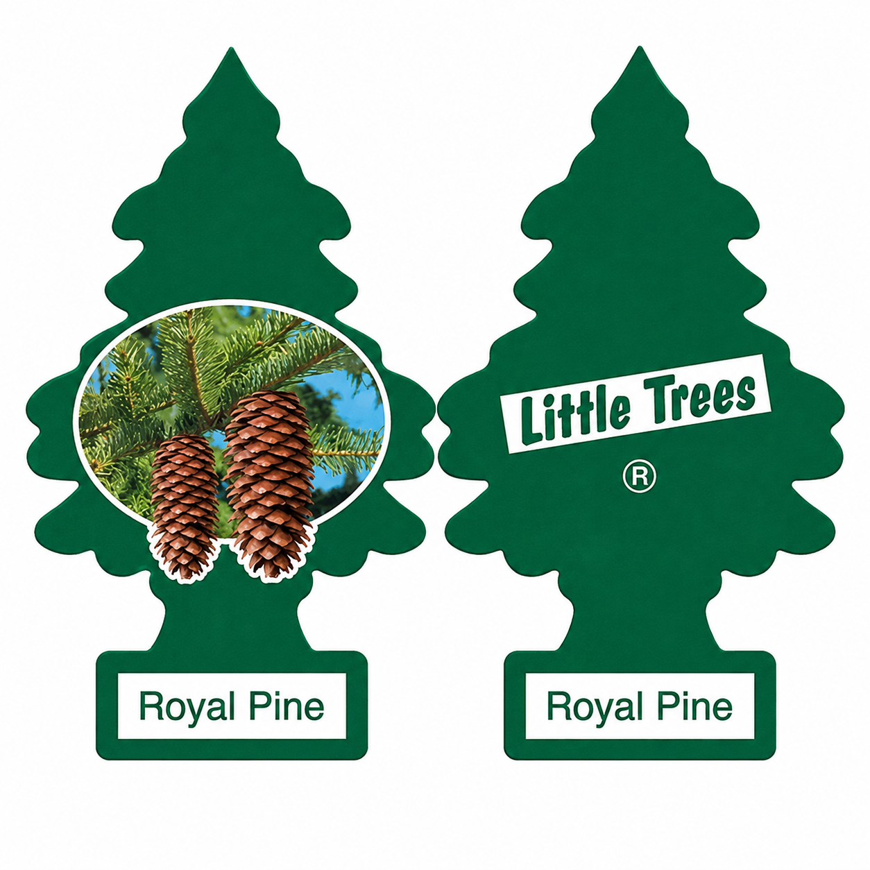 Pino Aromático Little Trees Aroma Royal Pine