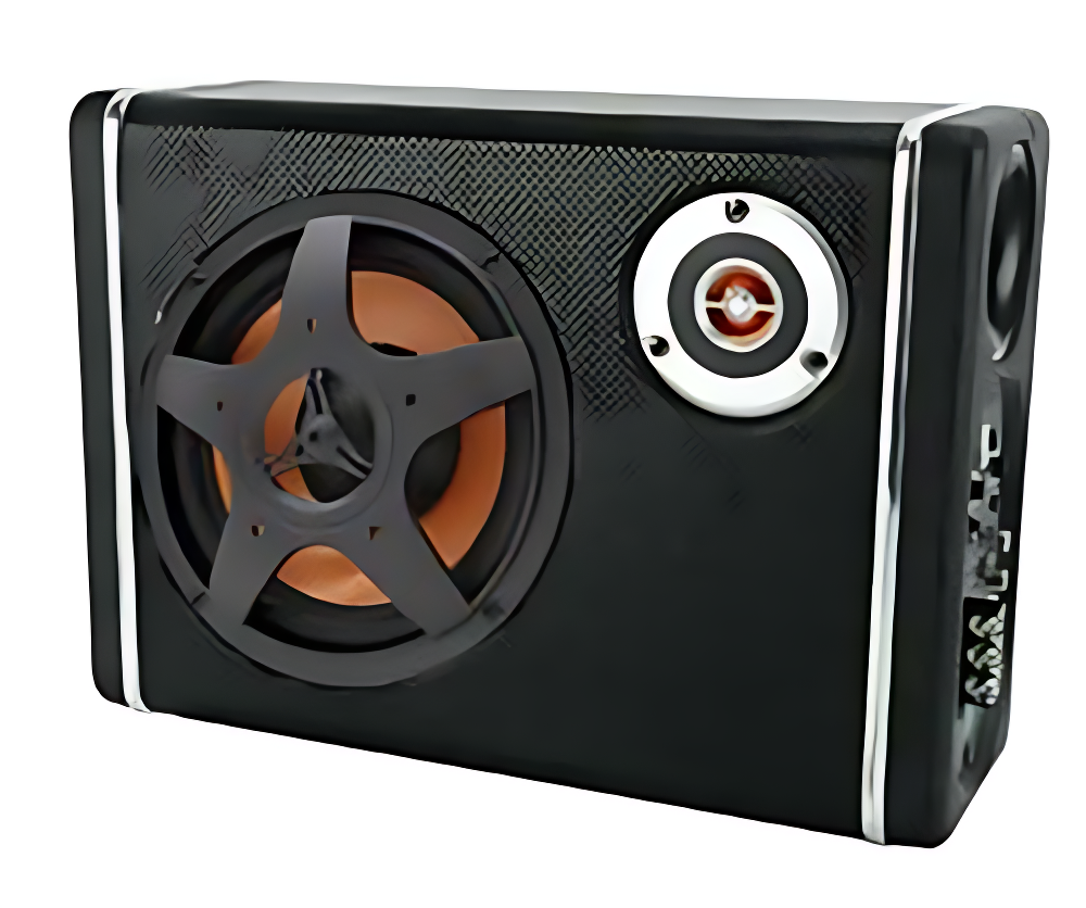 Subwoofer Amplificador 200W C6